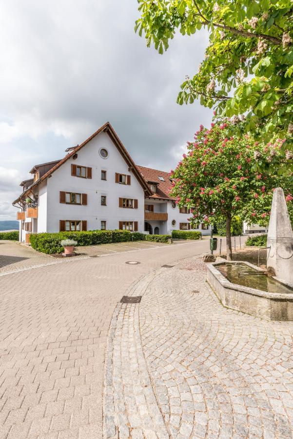 Rh-Appartements 15 Minuten Von Basel Im Dorf Ruehrberg Grenzach-Wyhlen Eksteriør bilde