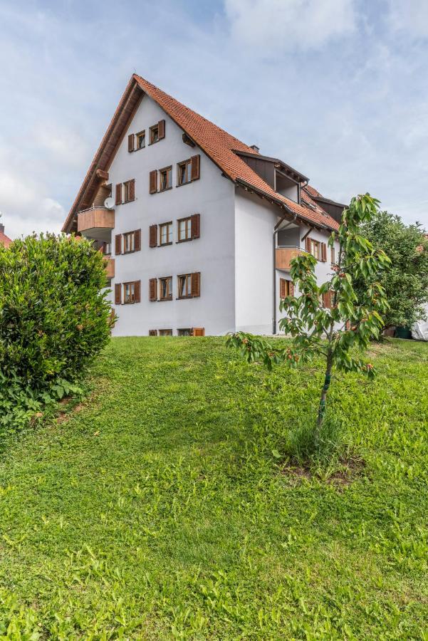 Rh-Appartements 15 Minuten Von Basel Im Dorf Ruehrberg Grenzach-Wyhlen Eksteriør bilde
